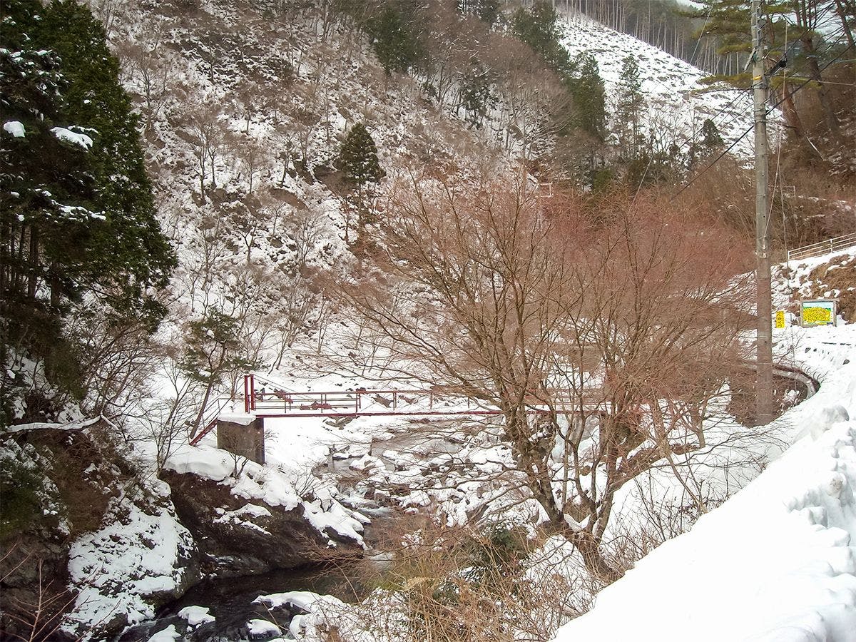 Nosegawa Onsen Hotel Nosegawa