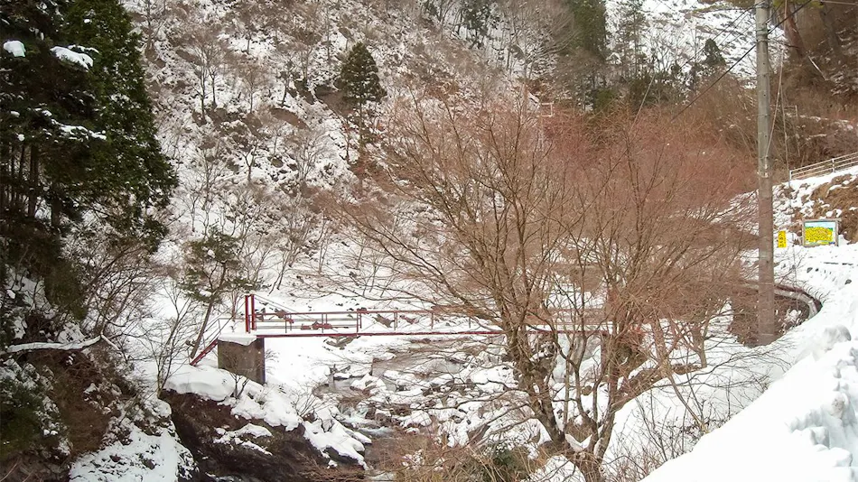 Nosegawa Onsen Hotel Nosegawa