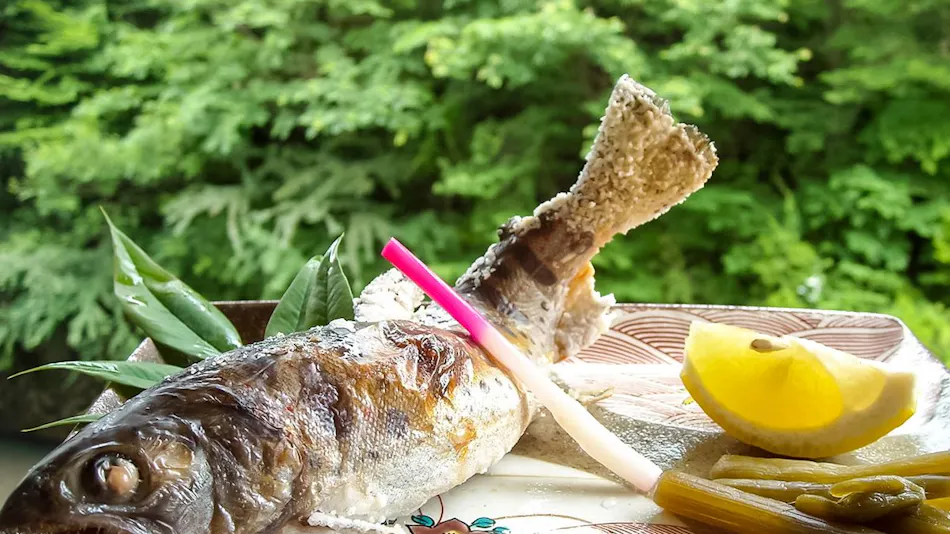 Nosegawa Onsen Hotel Nosegawa