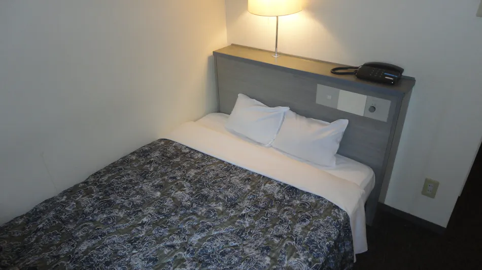 Miyuki Station Hotel