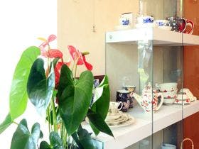 ひとよし森のホール・レディス　イン