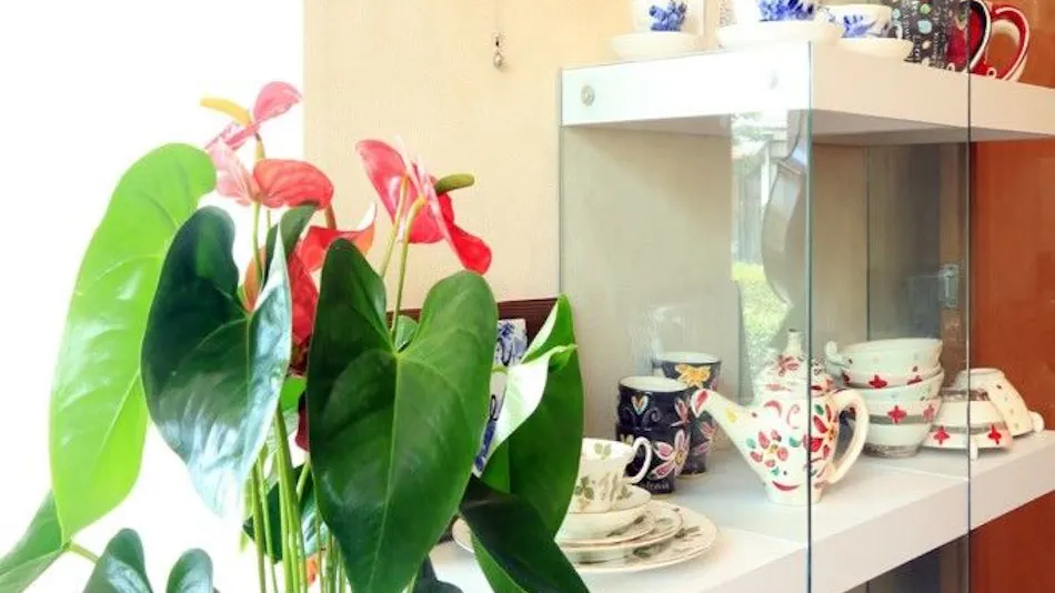 Hitoyoshi Forest Hall Ladies Inn