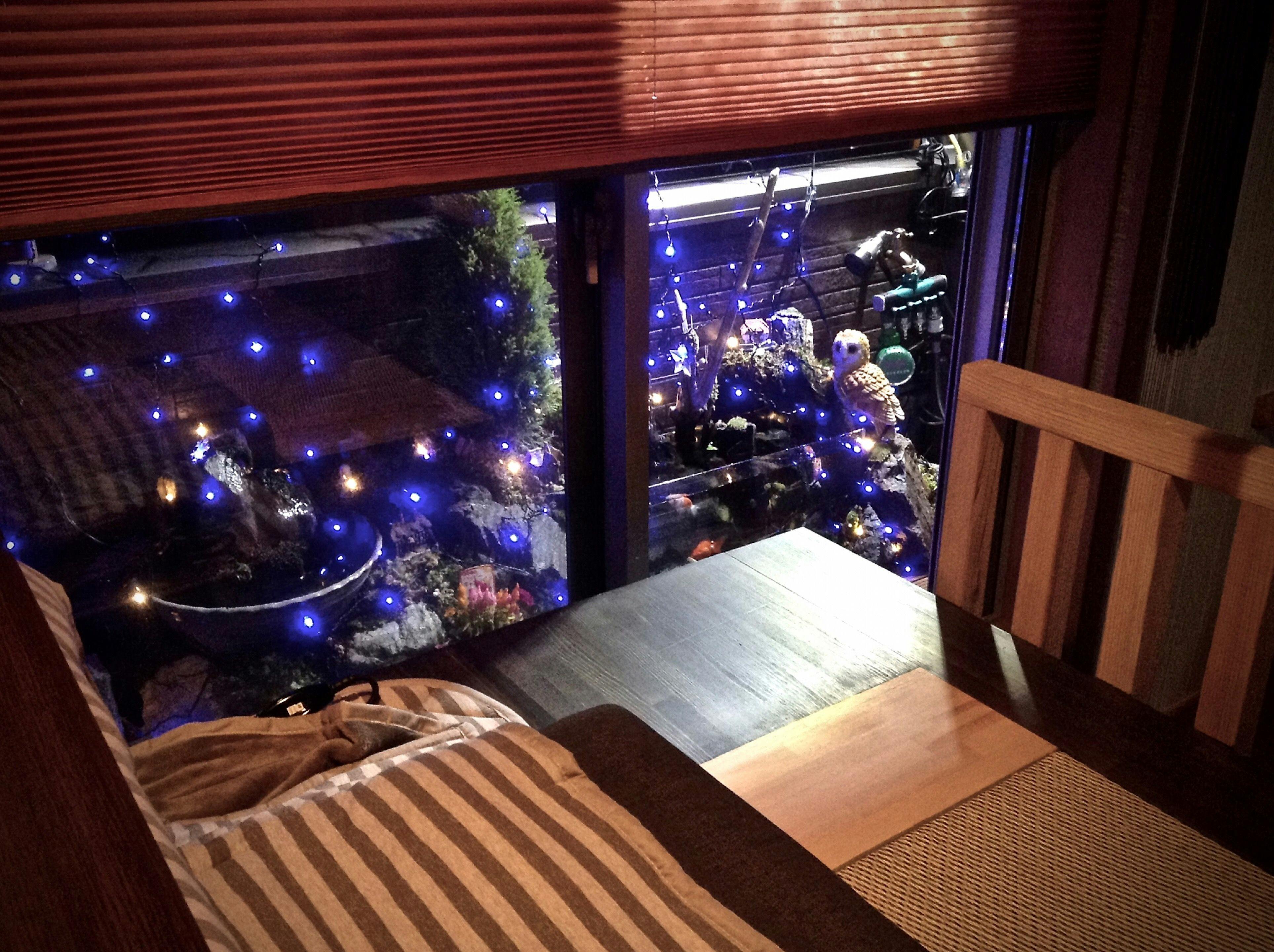 Koke-Musu:inn