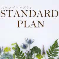 แผนมาตรฐาน