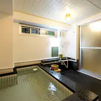 รถบัสไอออนลบ