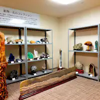 คอลเลกชันหิน