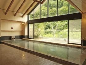 中川温泉　かくれ湯の里　信玄館