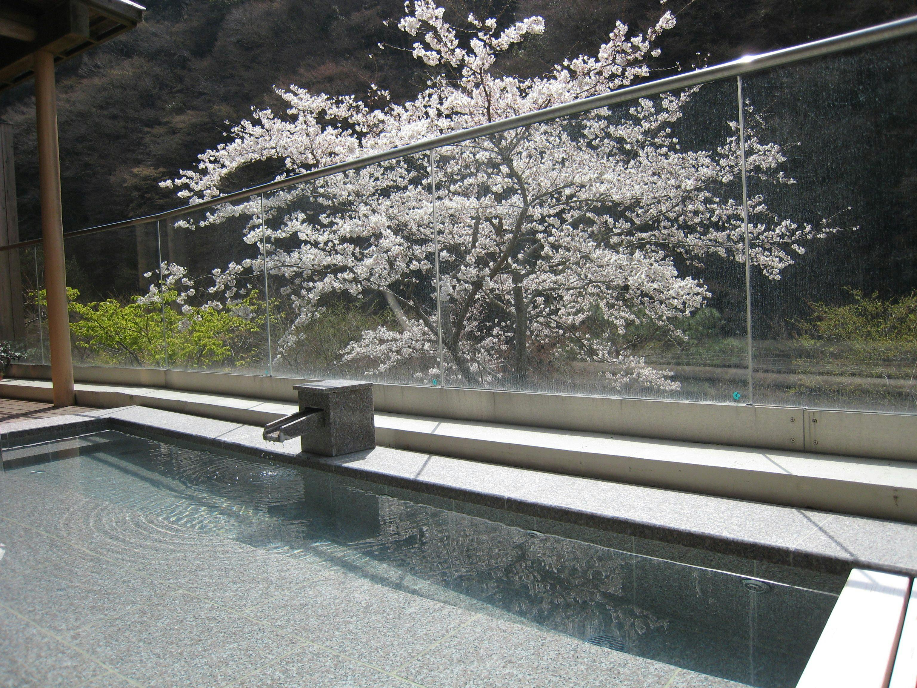 Kakureyu no Sato Shingenkan