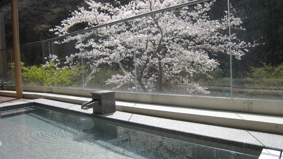 Kakureyu no Sato Shingenkan