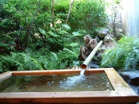 花とおもてなしの宿 松園