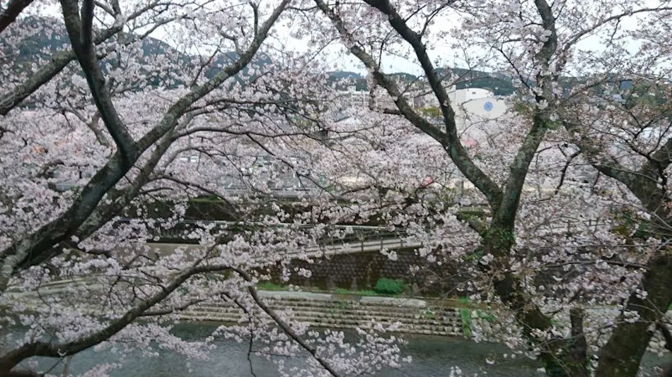 Inn of Flowers and Hospitality, SHOEN