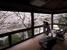 花とおもてなしの宿 松園