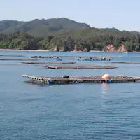 แพเลี้ยงสัตว์น้ำที่ดำเนินการโดยตรงของเรา