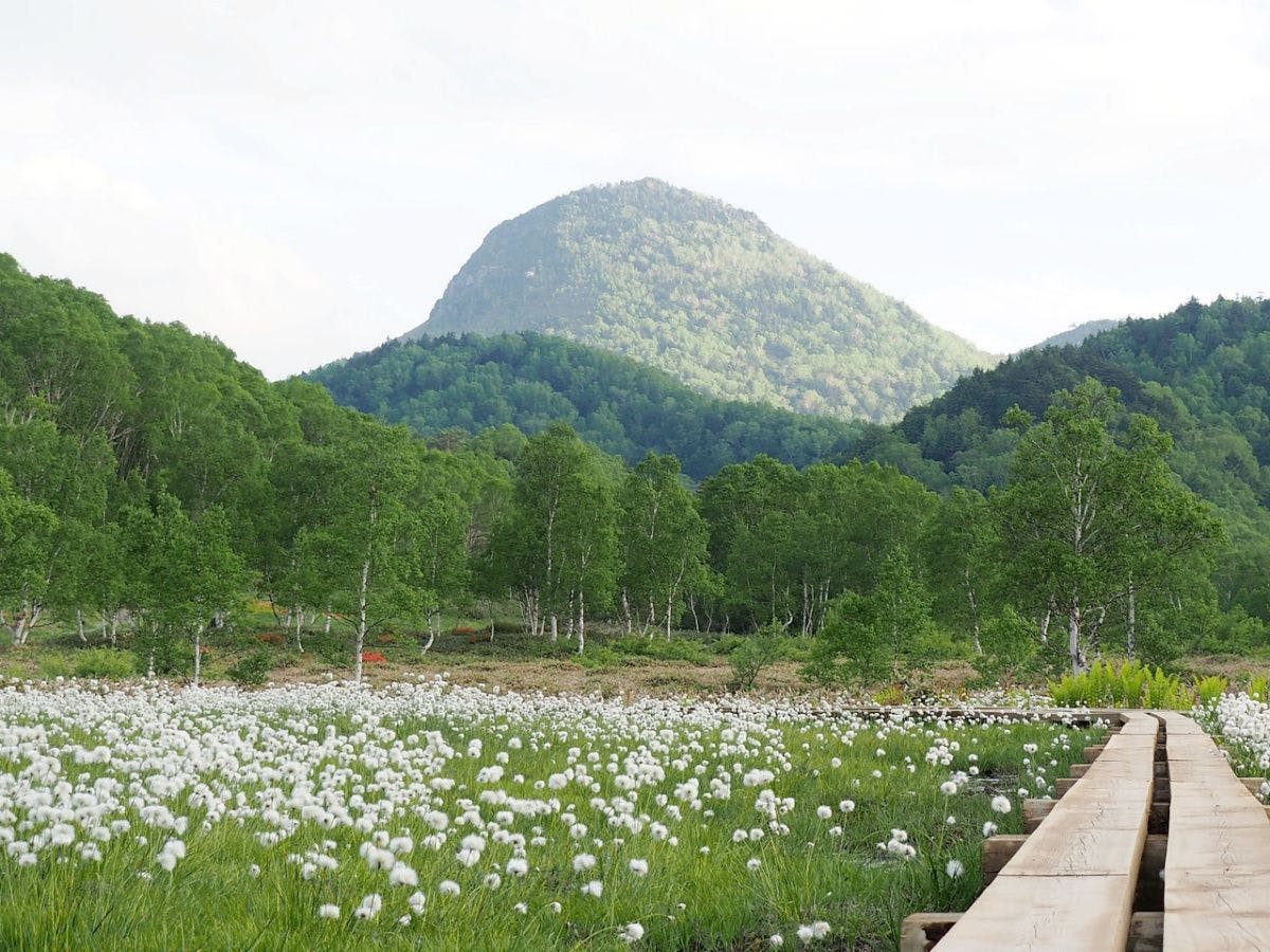 *【พื้นที่ชุ่มน้ำทาโนะฮาระ】