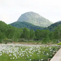 *【พื้นที่ชุ่มน้ำทาโนะฮาระ】