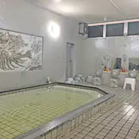 คุณหญิงนิกโกะ