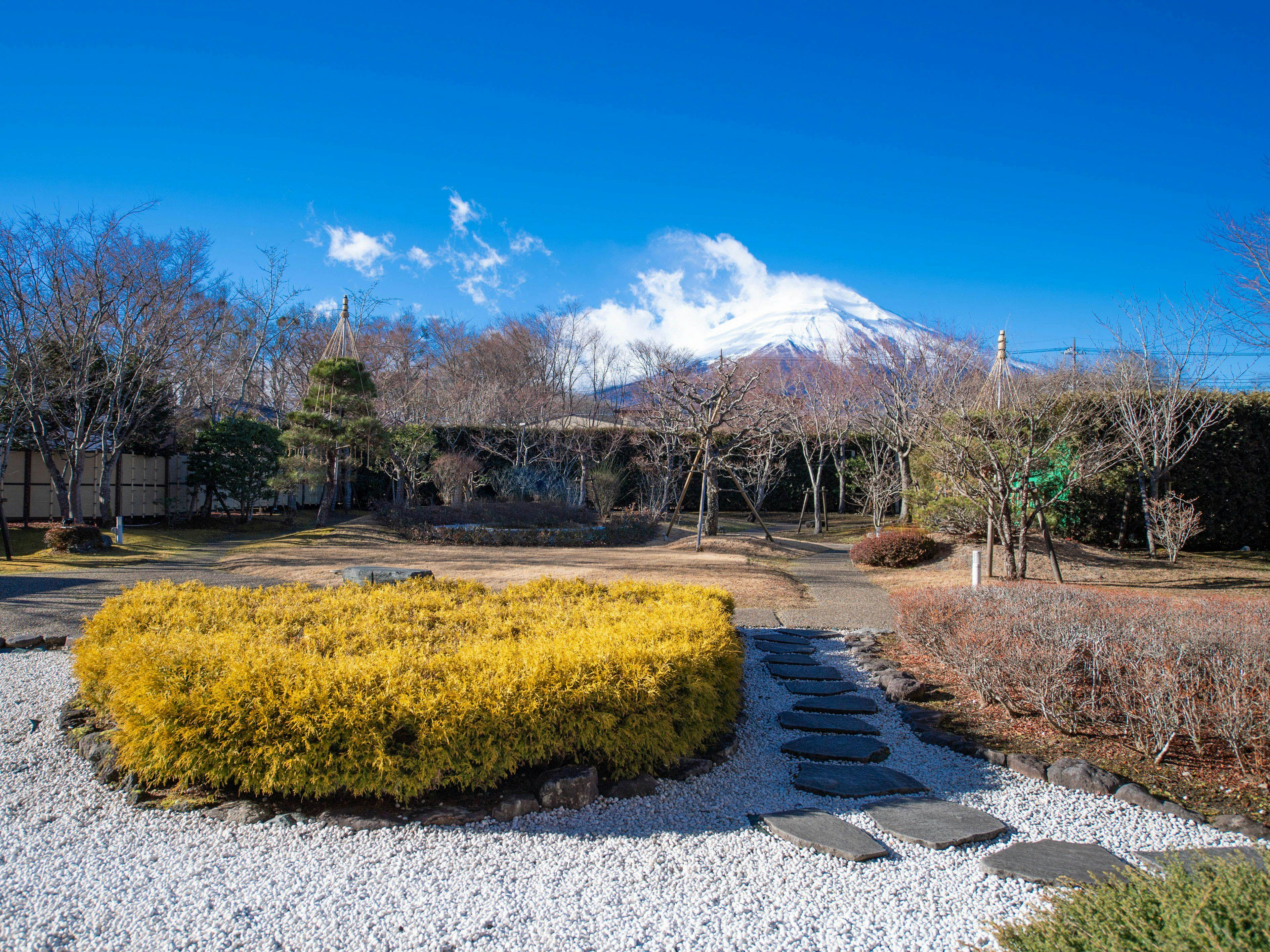 Fujimatsuen Hotel