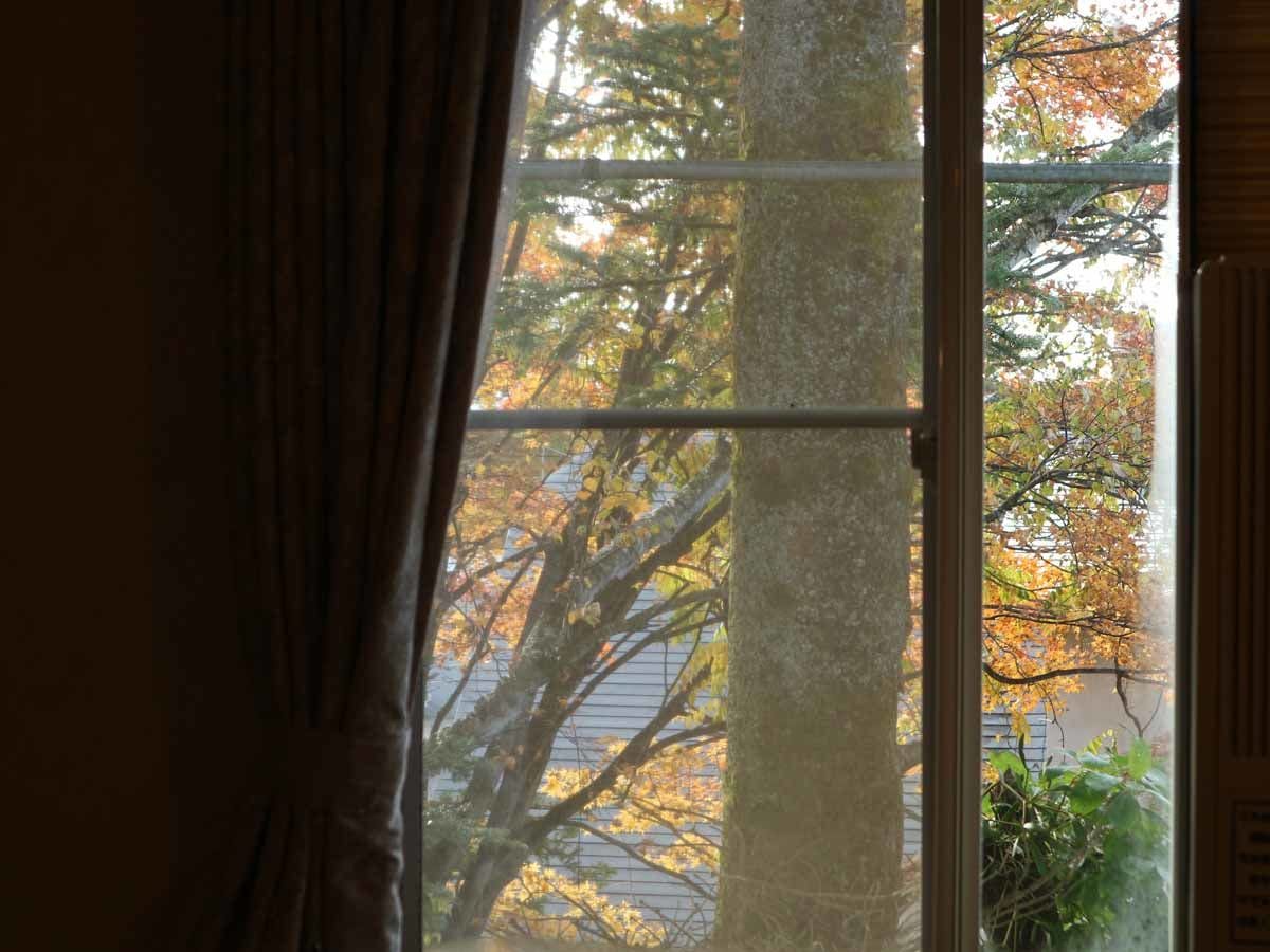 北軽井沢ペンションエデン の宿泊プラン 予約 Yahoo トラベル