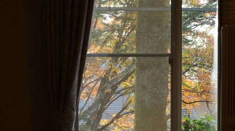 北軽井沢ペンションエデン の宿泊プラン 予約 Yahoo トラベル 北軽井沢ペンションエデン の宿泊プラン 予約 Yahoo トラベル