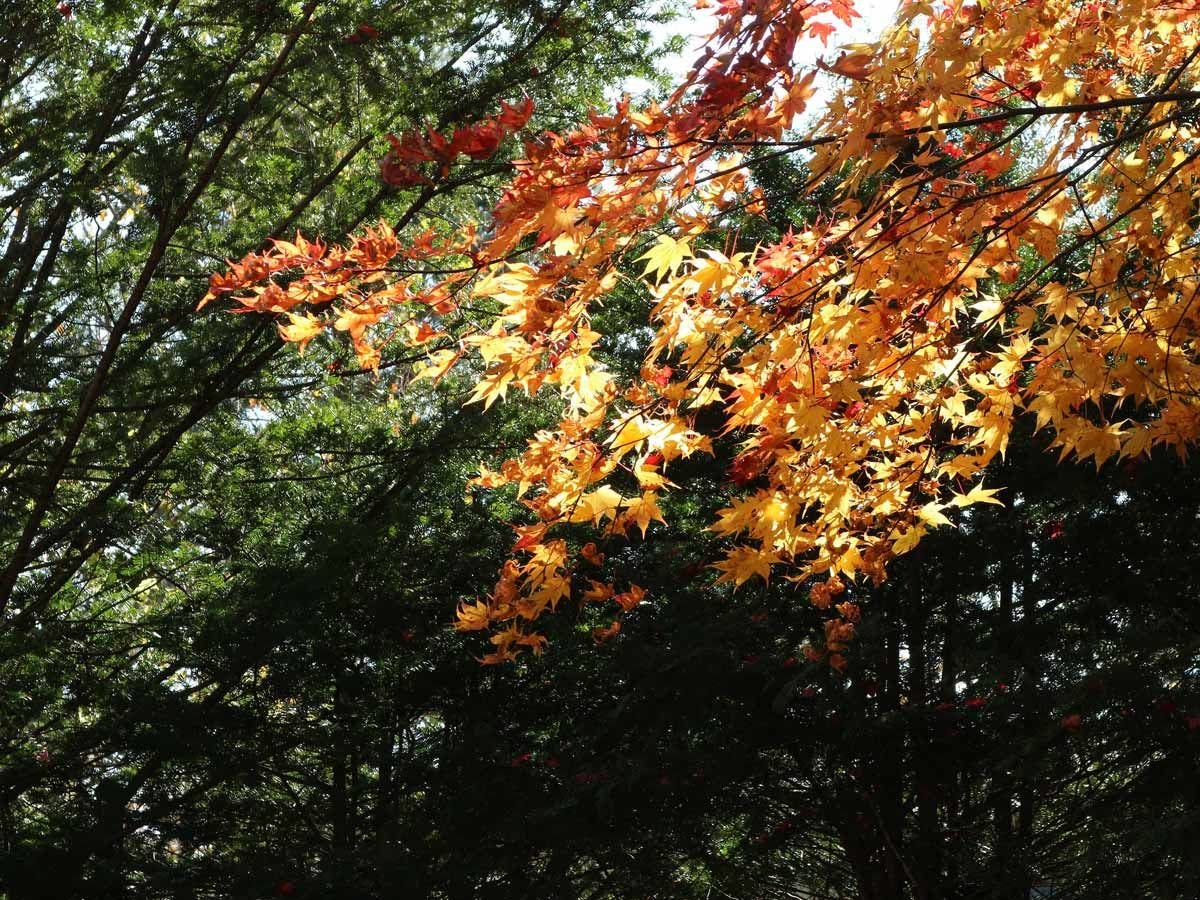 Kita Karuizawa Pension Eden