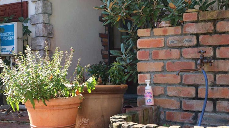 北軽井沢ペンションエデン の宿泊プラン 予約 Yahoo トラベル 北軽井沢ペンションエデン の宿泊プラン 予約 Yahoo トラベル