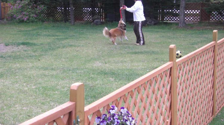 北軽井沢ペンションエデン の宿泊プラン 予約 Yahoo トラベル 北軽井沢ペンションエデン の宿泊プラン 予約 Yahoo トラベル