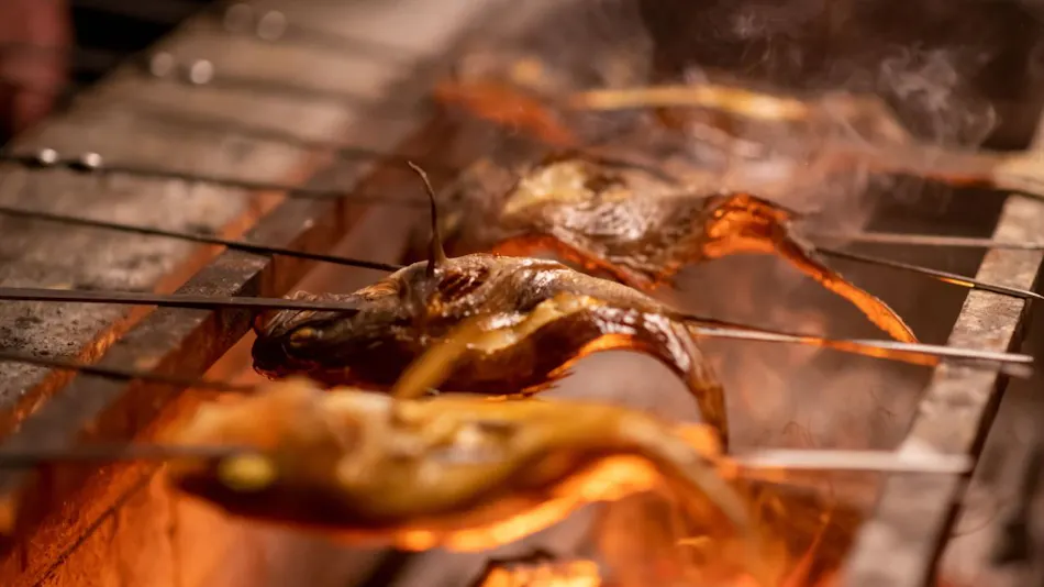 Ajigasawa Onsen Suigun no Yado
