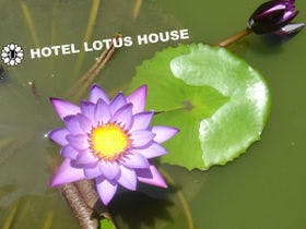 ホテルロータスハウス