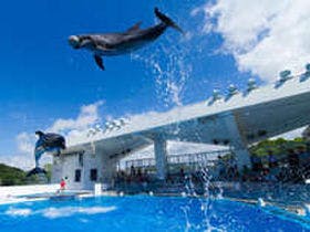 ホテルロータスハウス