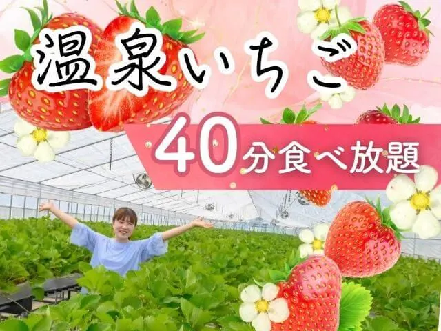 ออกเดินทางสู่การท่องเที่ยวฤดูใบไม้ผลิที่หวานละมุนและอบอุ่นกันเถอะ!