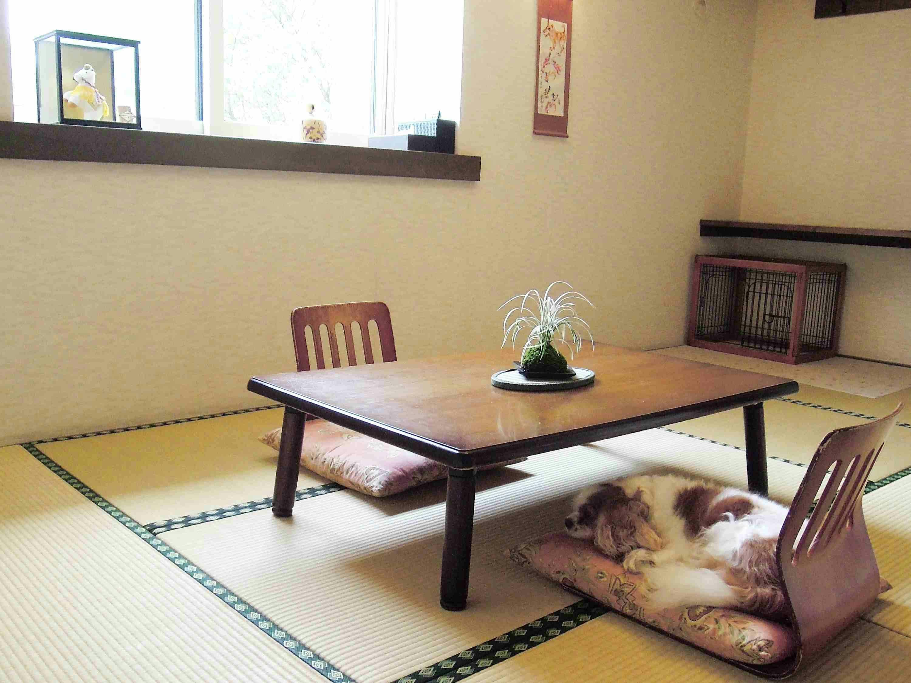 ペンションハロハロinn那須 の宿泊プラン 予約 Yahoo トラベル