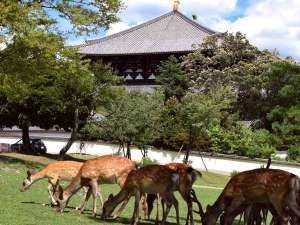 วัดโทได