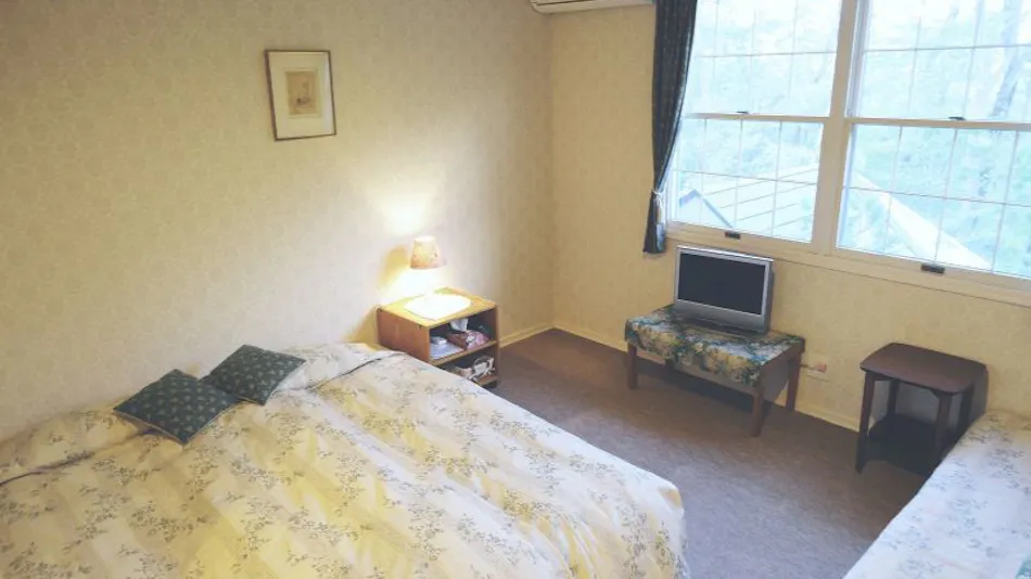 Cozy Inn Antique