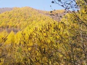 シティオス地蔵
