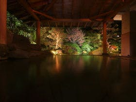 【大湯温泉　龍門亭　千葉旅館】