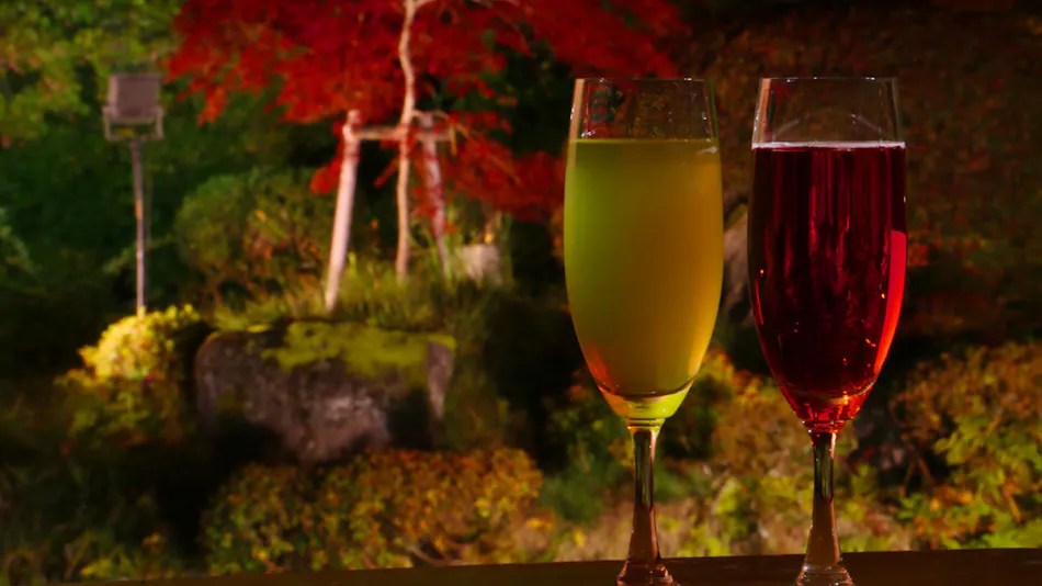 Ryumontei Chiba Ryokan