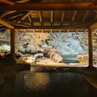 เพลิดเพลินกับบ่อน้ำพุร้อนหินที่สามารถชมทิวทัศน์หิมะอันเงียบสงบ