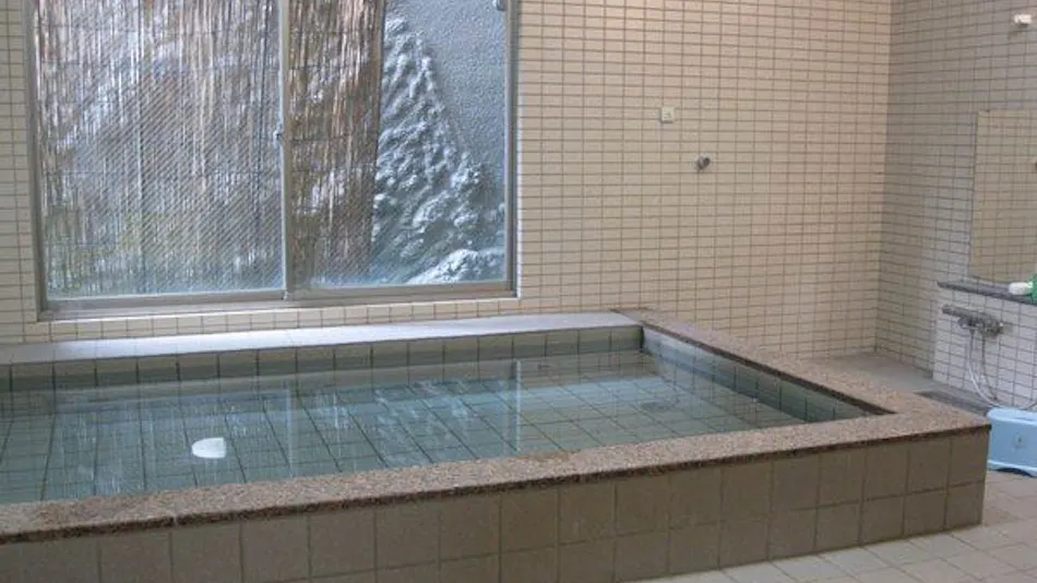 Hotel Ganke