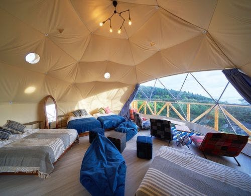 【FOREST DOME】