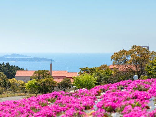 【あぐりの丘公園】