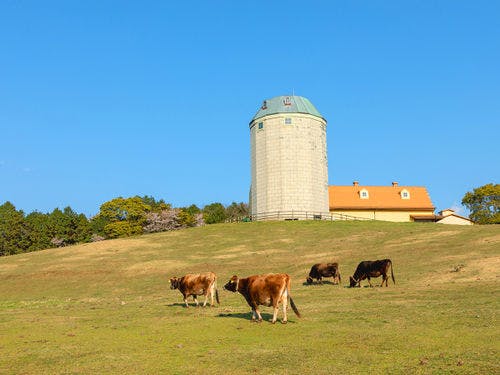 【あぐりの丘公園】
