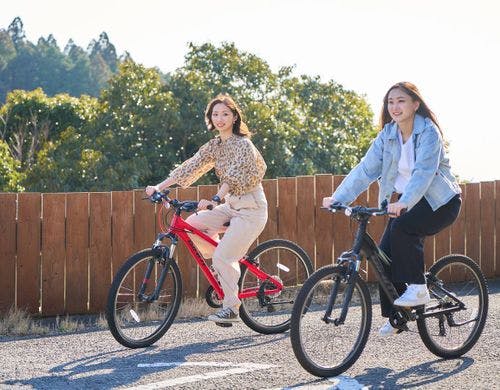 【オプション】