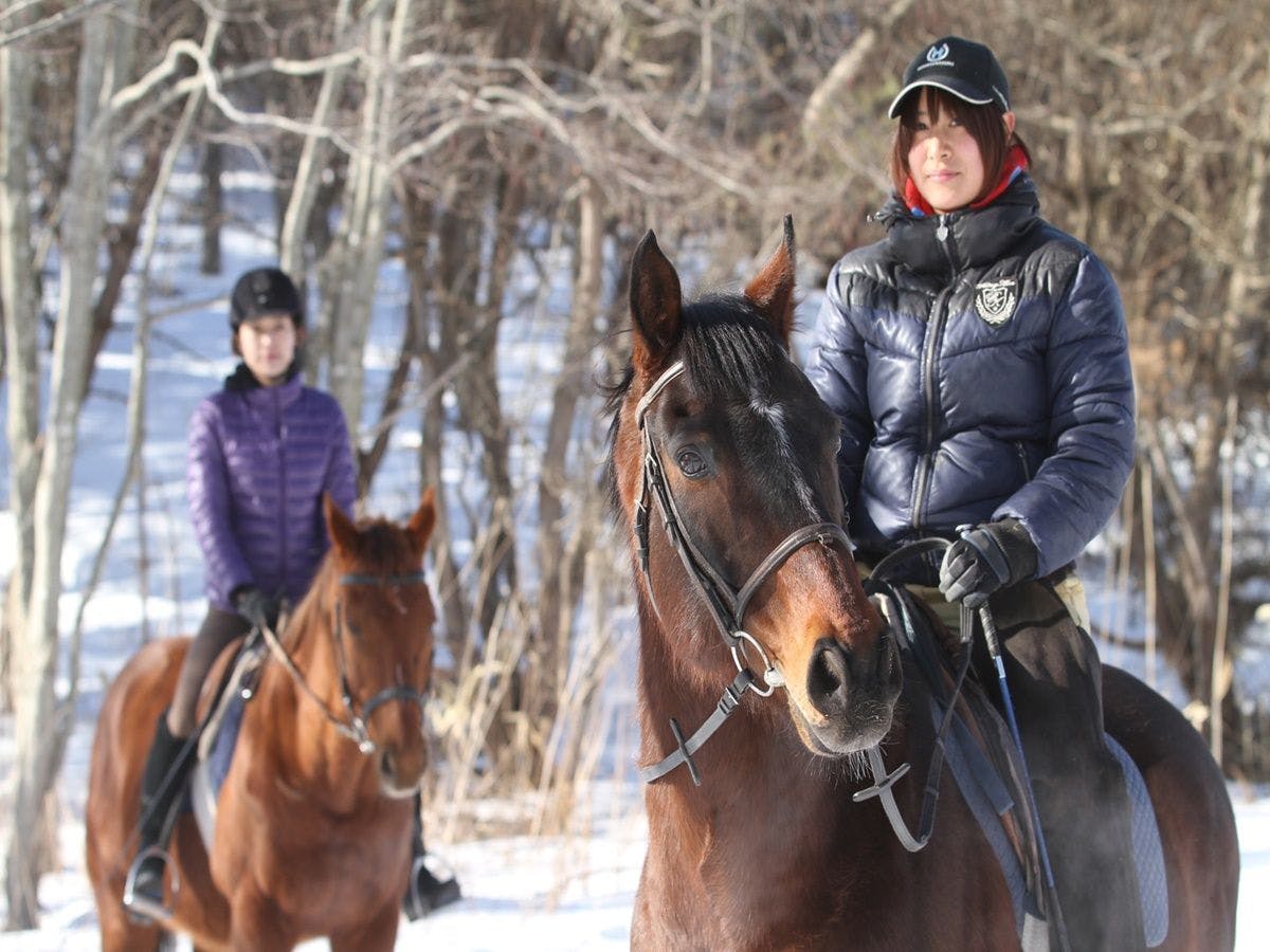 ทิวทัศน์การขี่ม้า