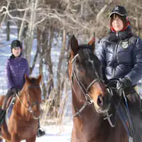 ทิวทัศน์การขี่ม้า