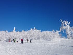 アグリ工房まあぶ