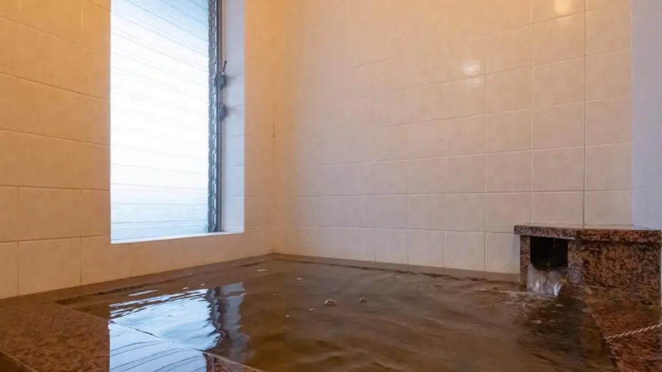 Bijin no Yu Sagae Onsen Hotel Symphony Main Building