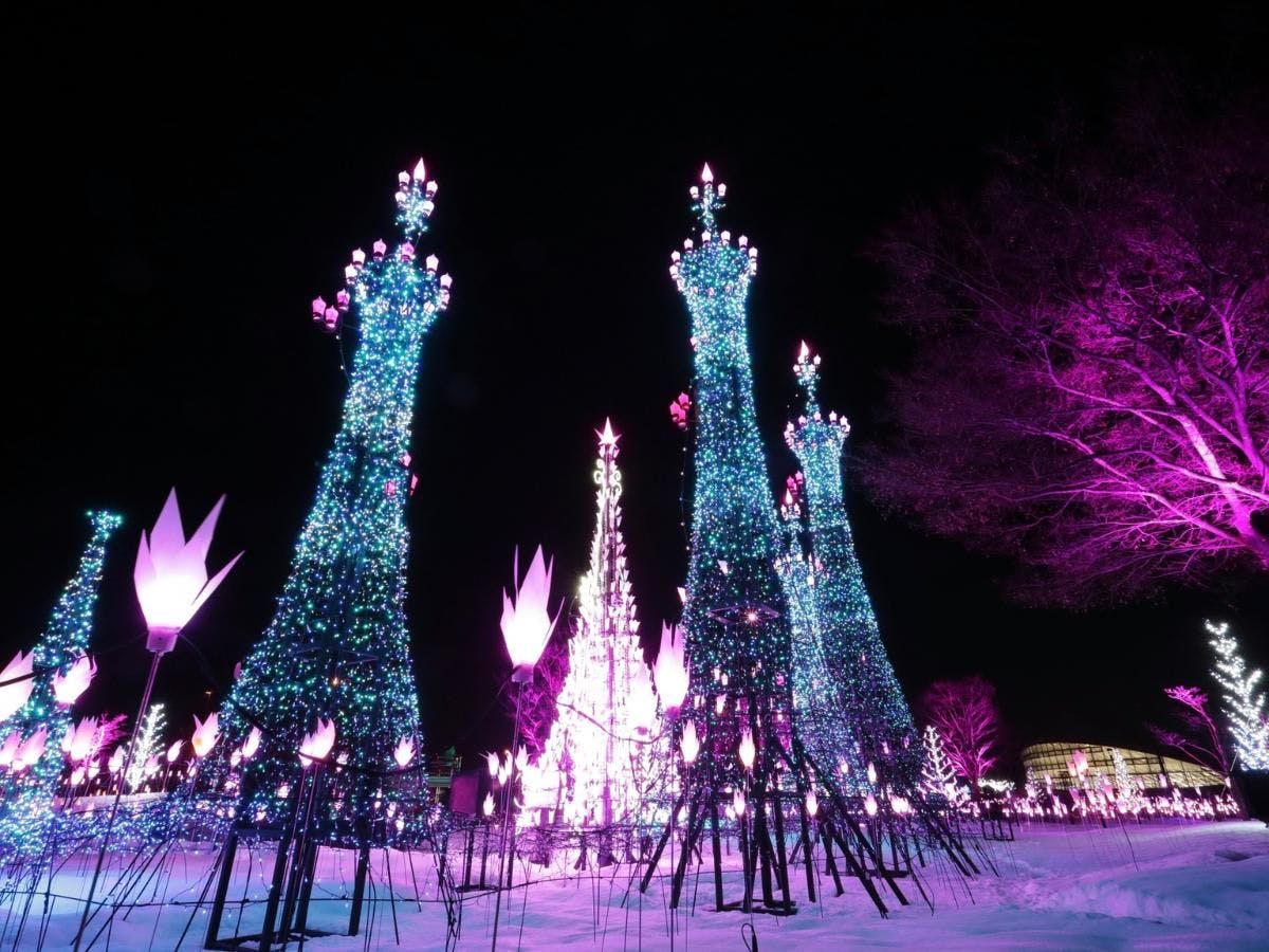 สวนสาธารณะโมกามิ - การประดับไฟ