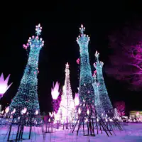 สวนสาธารณะโมกามิ - การประดับไฟ