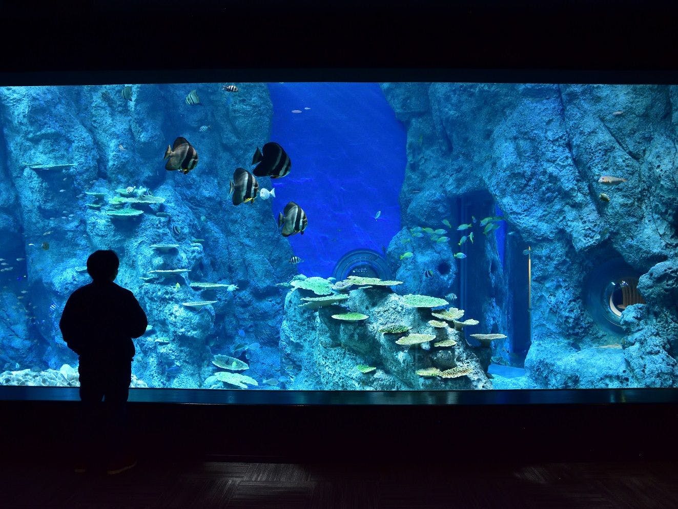 Ashizuri Sunnyside Hotel