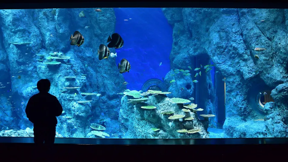 Ashizuri Sunnyside Hotel